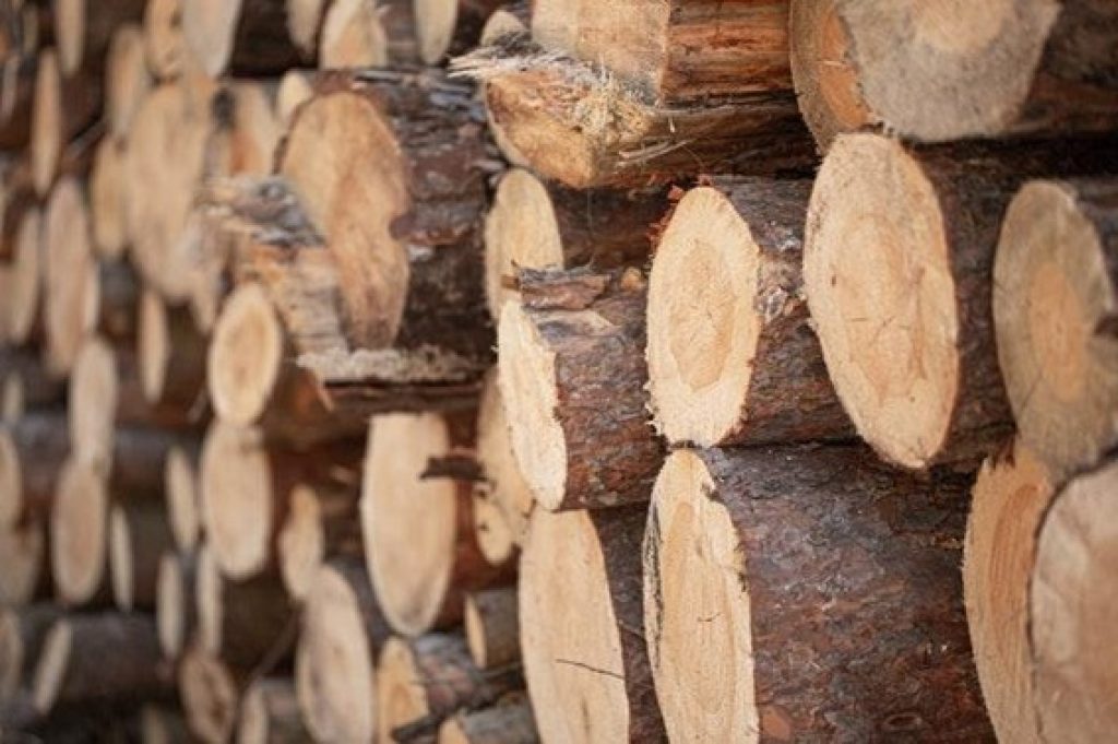 El precio de las vigas de madera de pino en Barcelona
