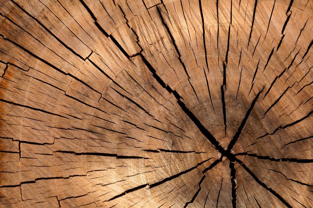 El precio de las vigas de madera de pino en Valencia